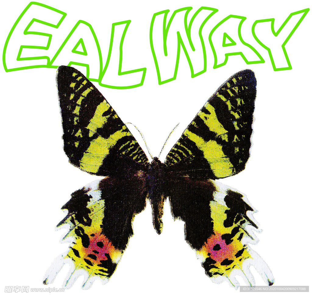 蝴蝶 彩色蝴蝶 裁片