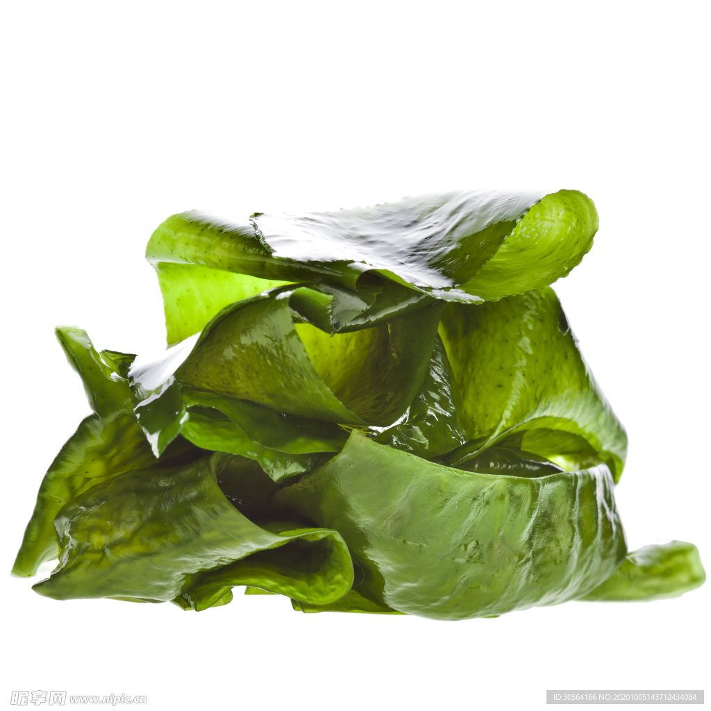 海带配菜食材背景海报素材