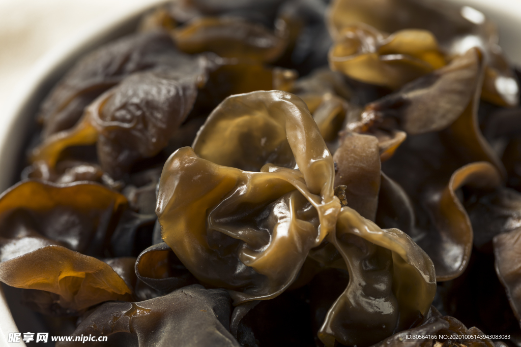 木耳美食食材背景海报素材