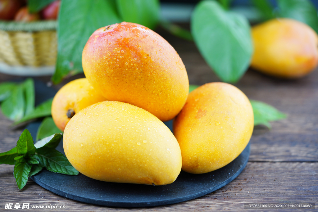 芒果水果新鲜背景海报素材