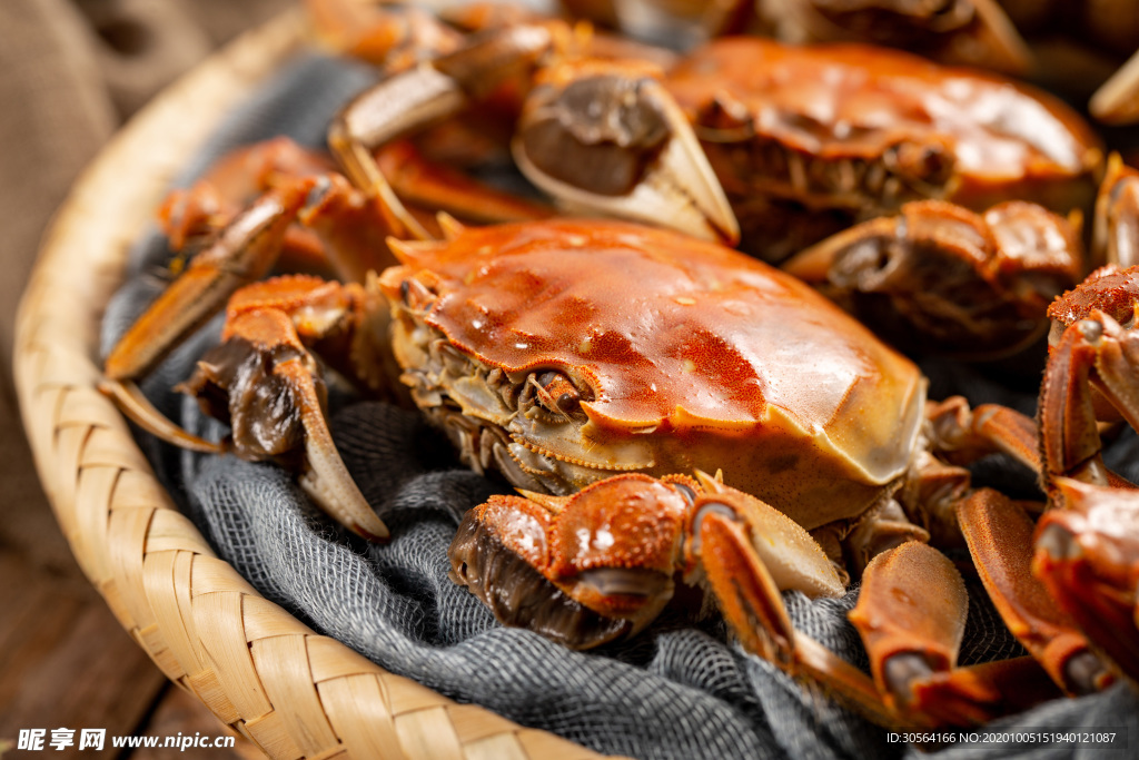大闸蟹美食食材背景海报素材
