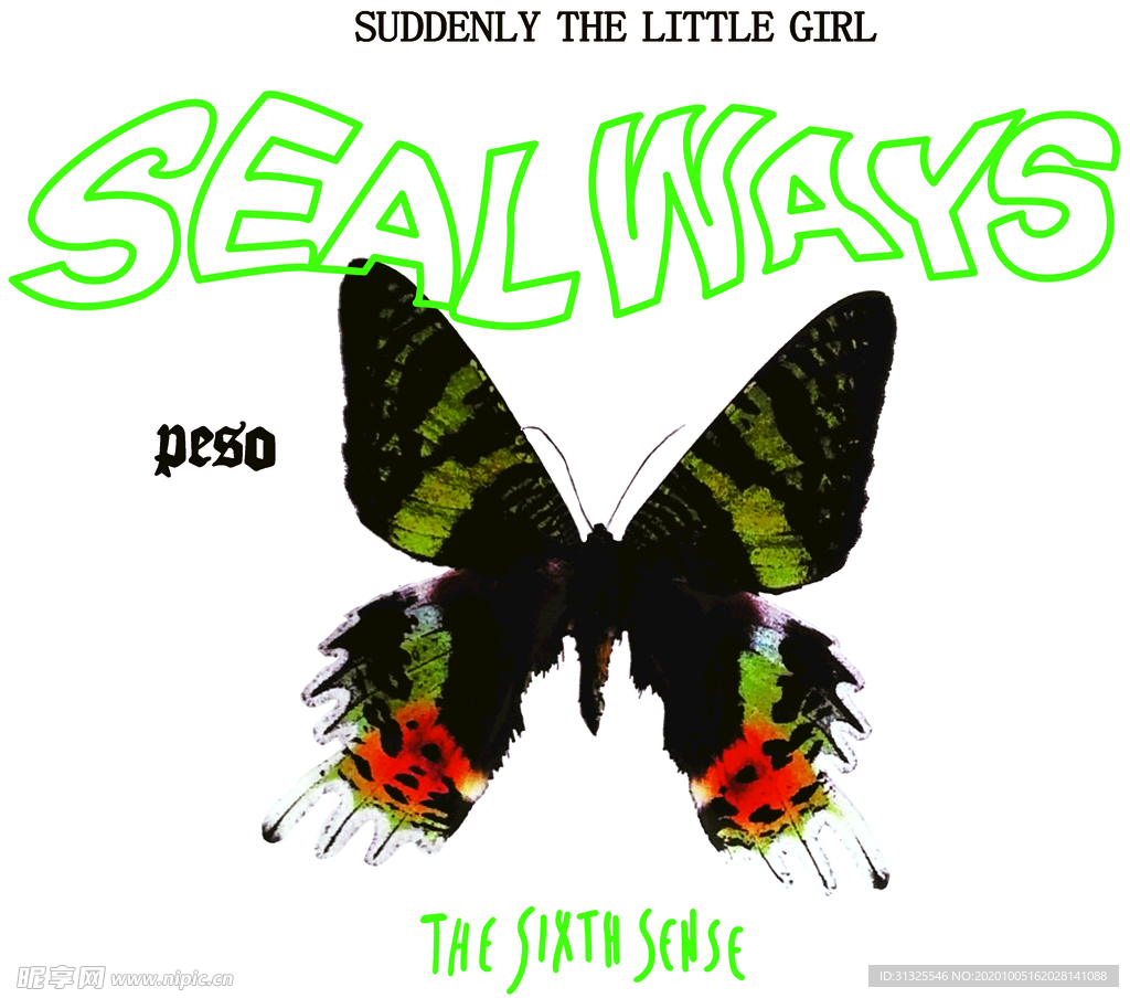 蝴蝶  昨天 彩色蝴蝶