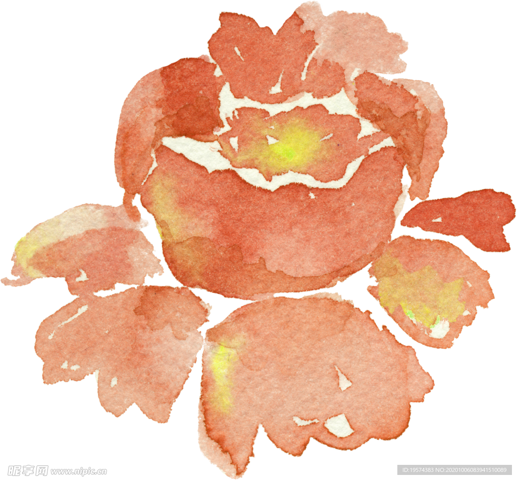 花朵 花型 设计