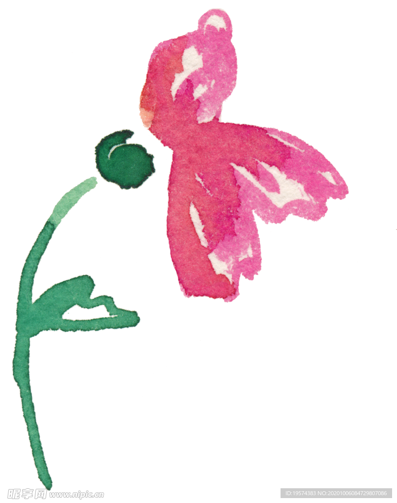 弯曲 垂落 花朵 骨朵