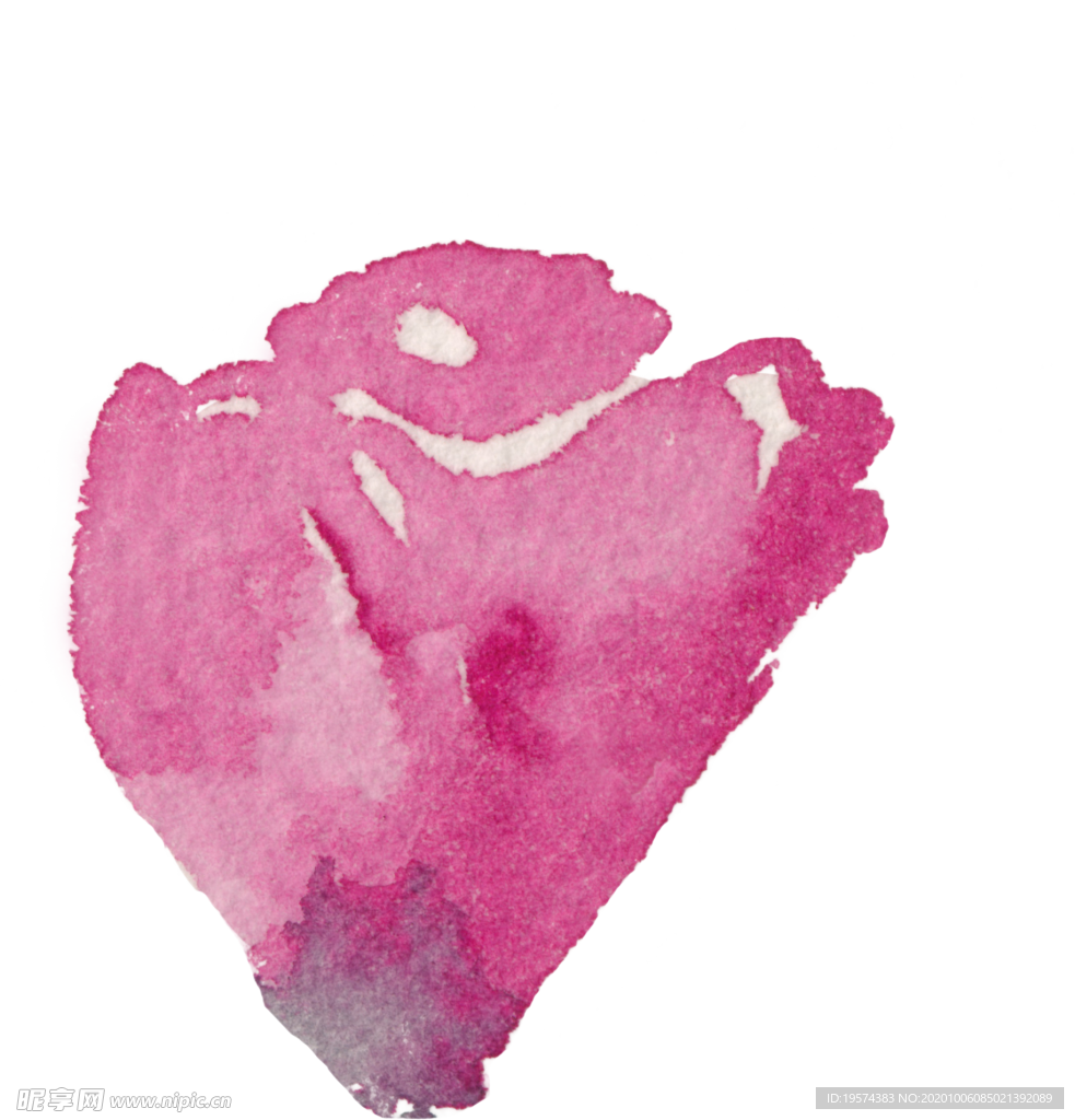 含苞待放 玫瑰 骨朵 半开放