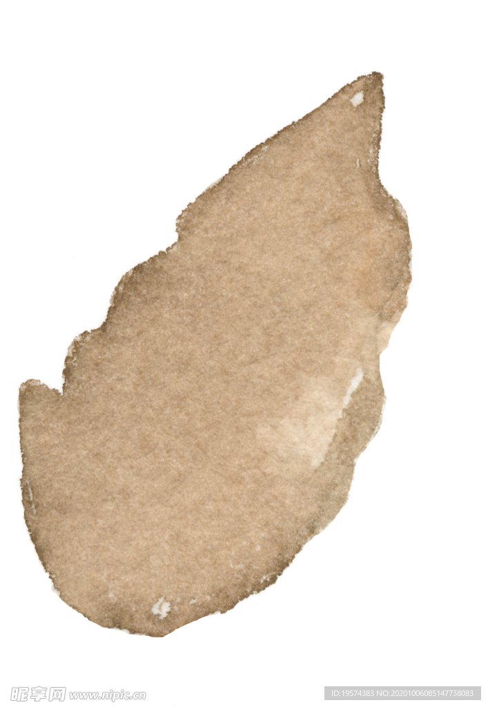 金黄色 叶子 枯萎 干枯 秋天