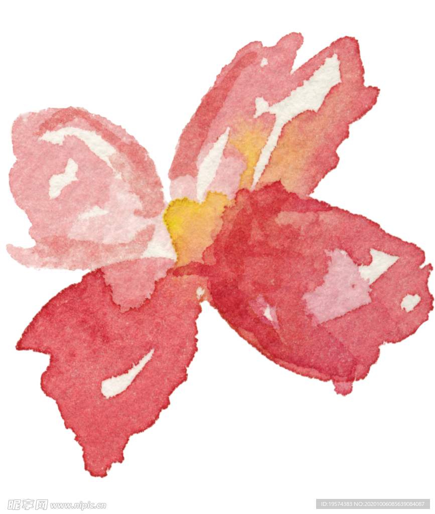 花朵 四叶花 手绘