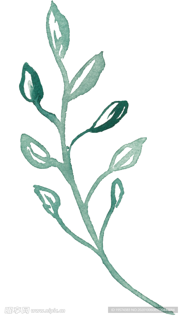 叶子 植被 绿色 床帘 床单