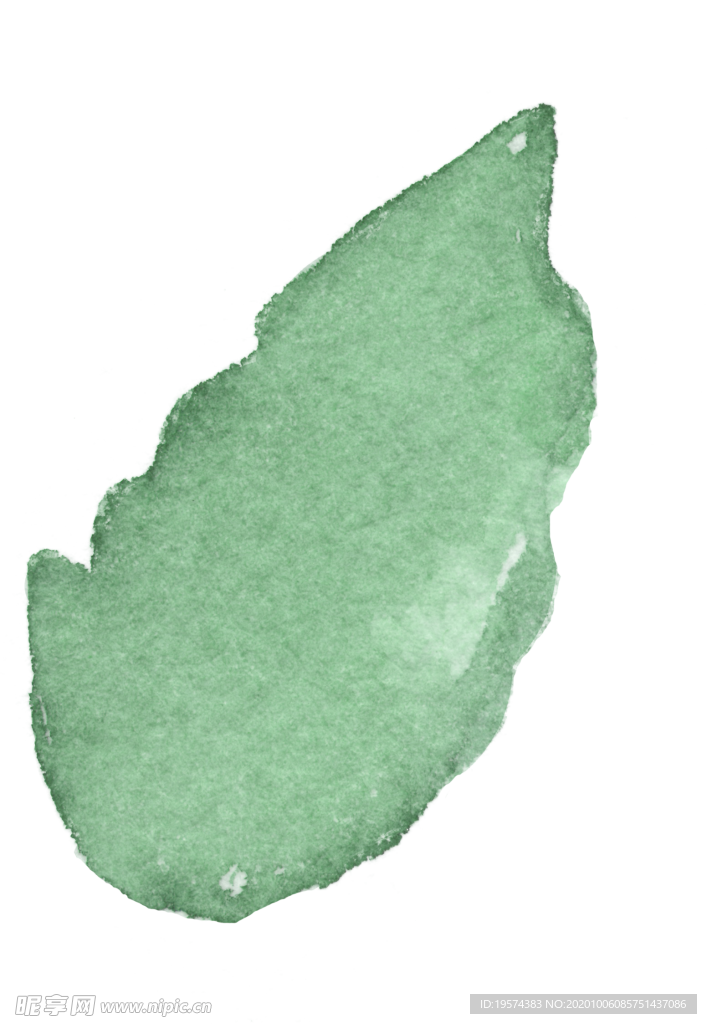 叶子 水彩 手绘