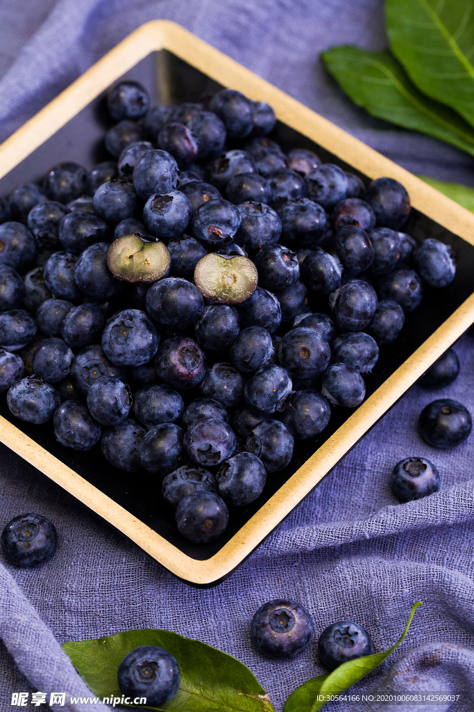 蓝莓水果果实背景海报素材