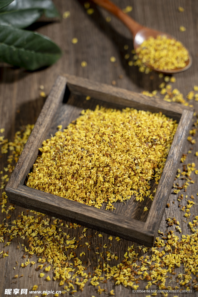 桂花花朵食材背景海报素材