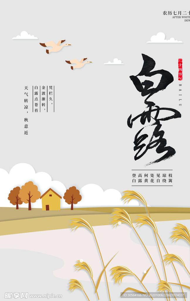 白露节日传统活动宣传海报素材