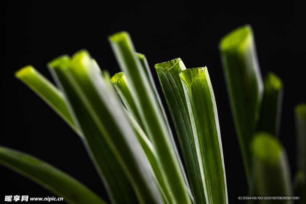 葱段小葱食材背景海报素材
