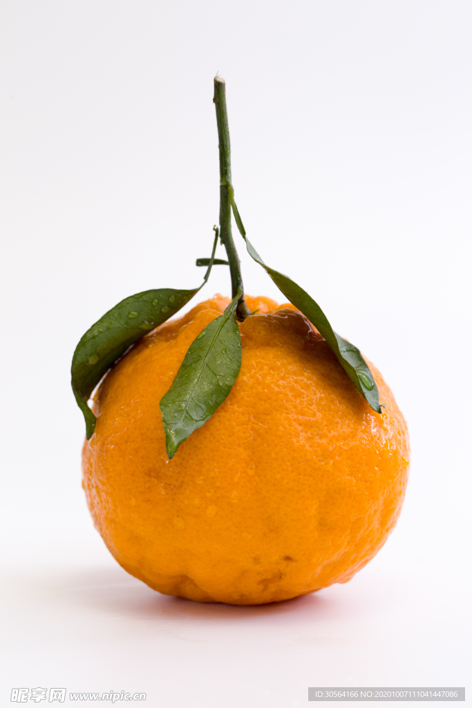 丑橘水果新鲜背景海报素材