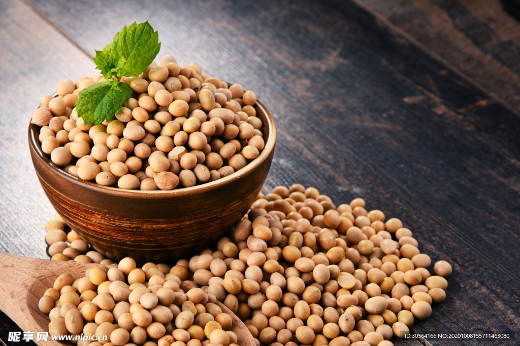 黄豆豆子木桌背景海报素材
