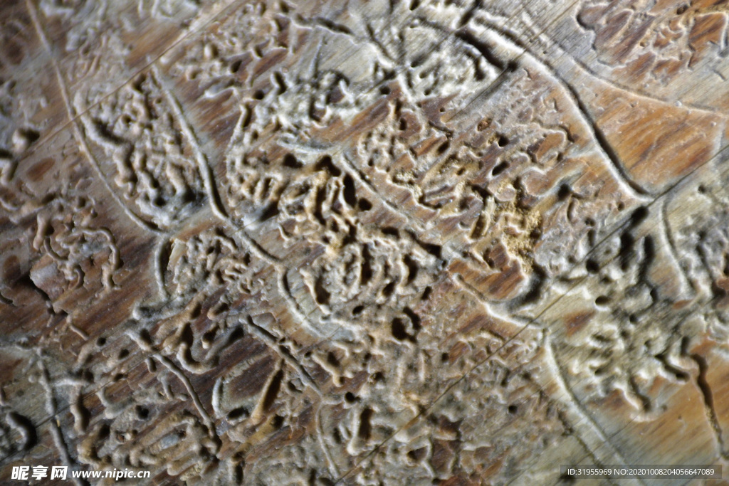 木纹背景