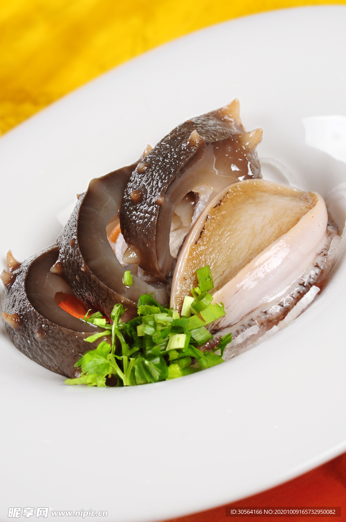 辽参海参补品背景海报素材