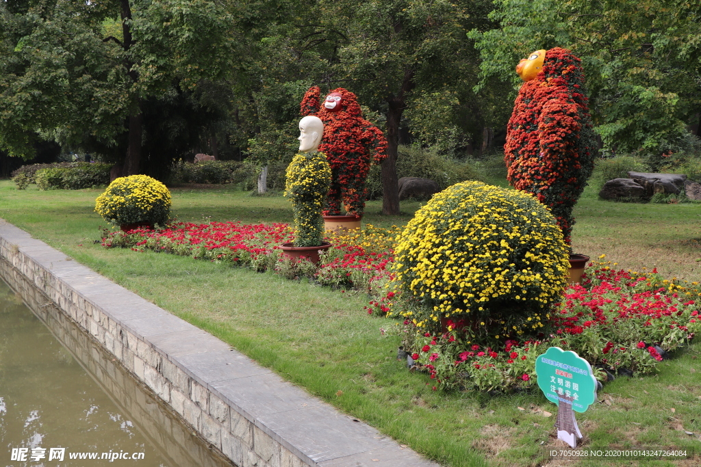 菊花盆栽盆景造型图片