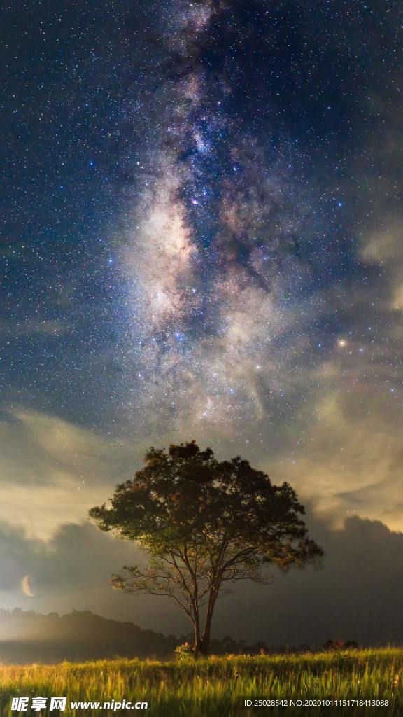 夜空星空大树