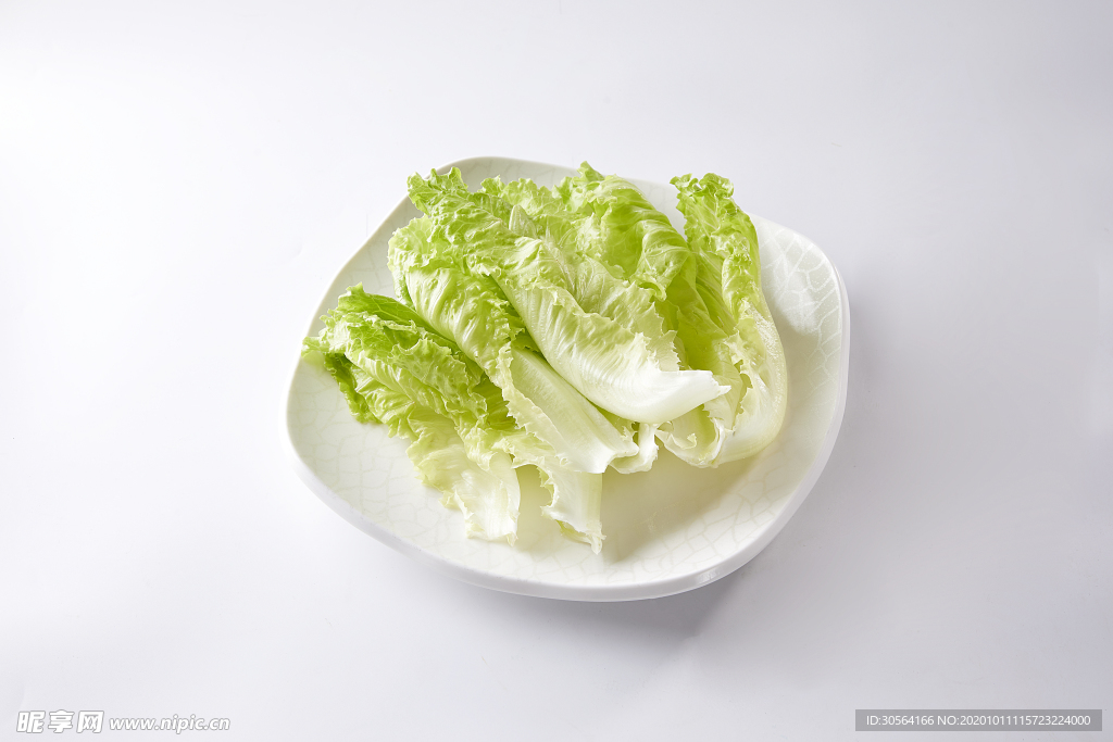 白菜娃娃菜蔬菜食材海报素材