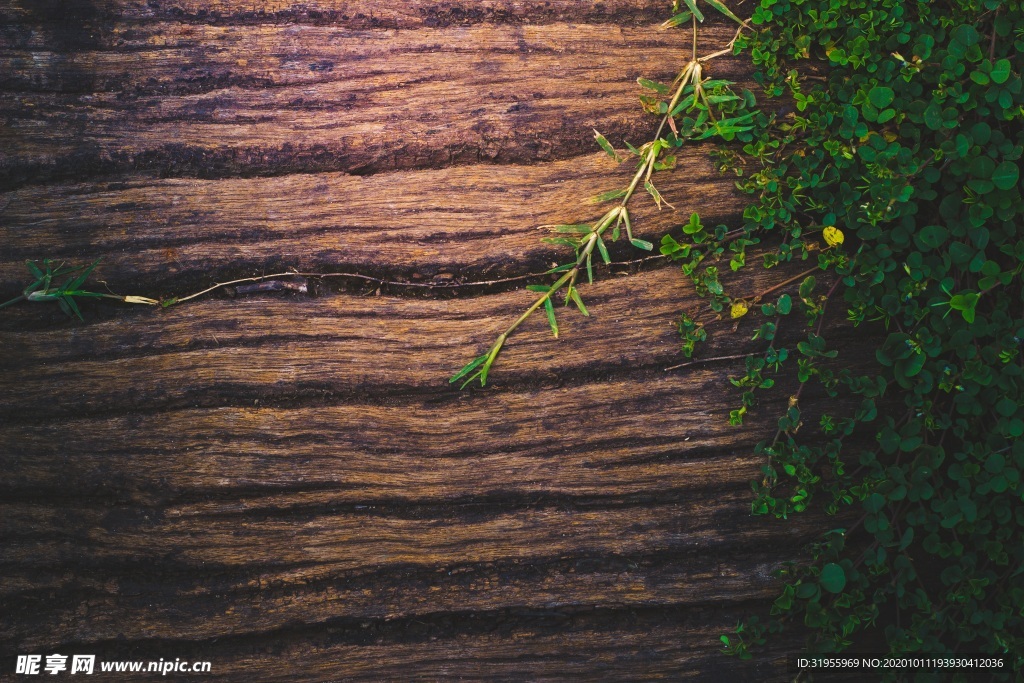 木纹背景