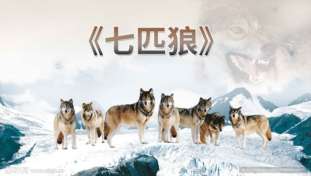 七匹狼