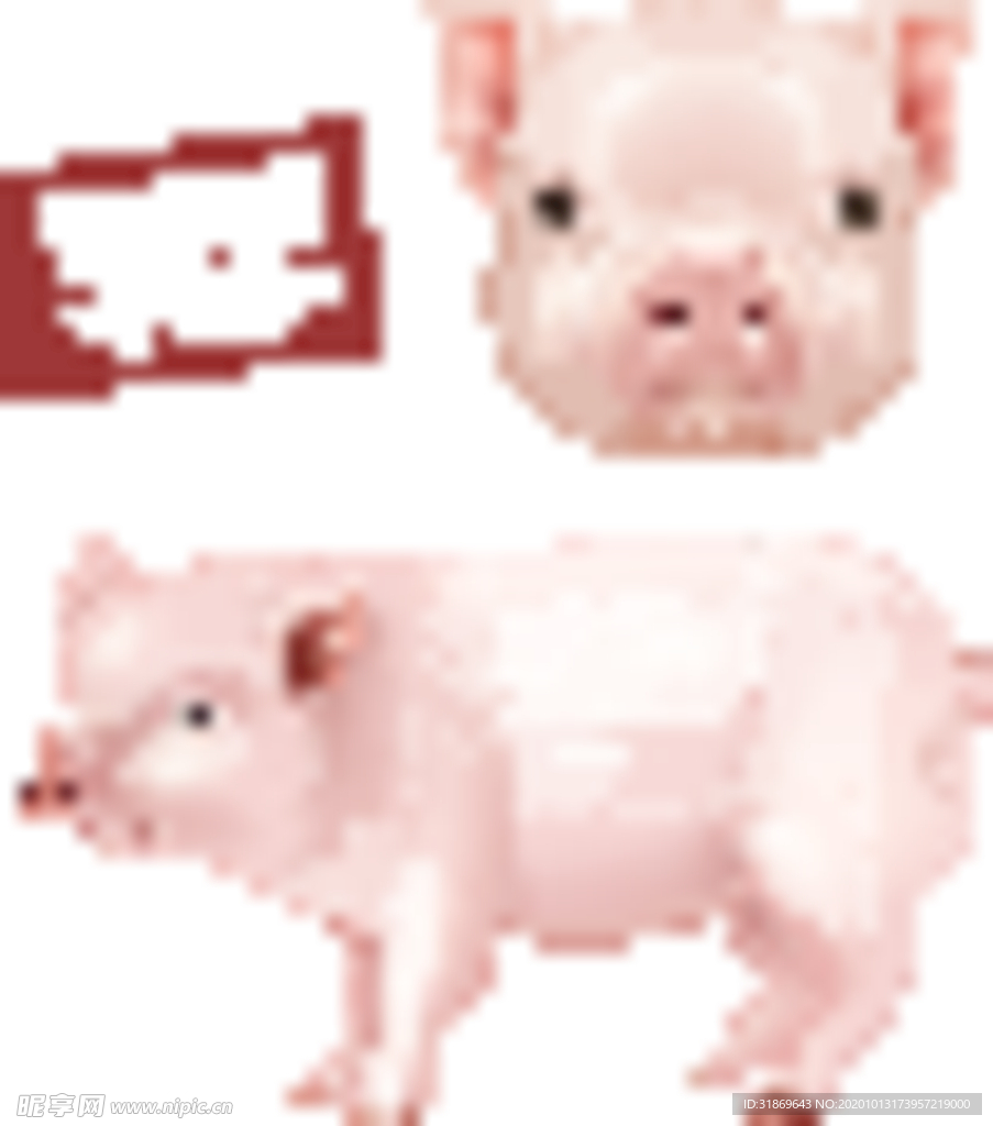 猪  手绘猪  卡通猪