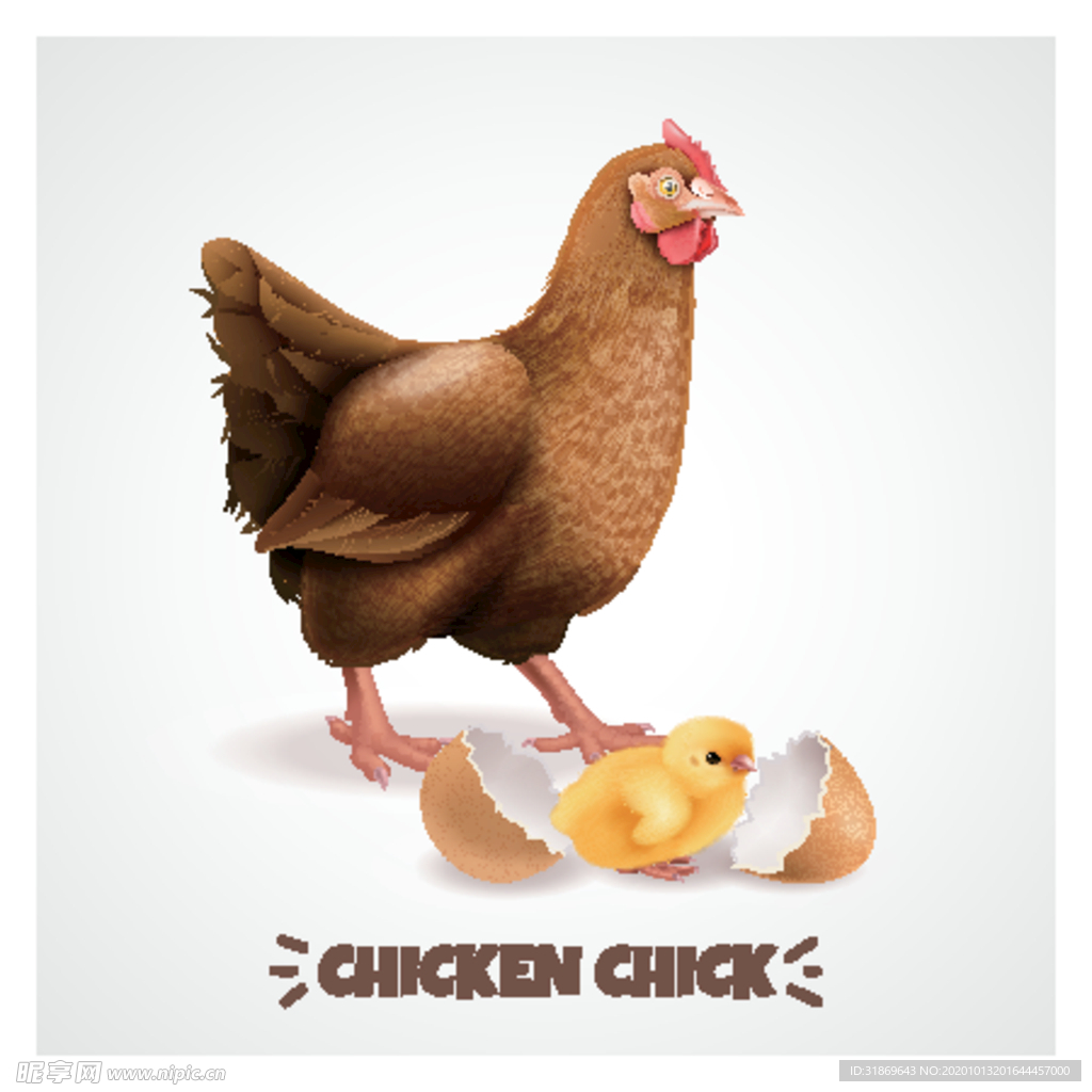 鸡 卡通鸡 鸡肉 鸡蛋 手绘鸡