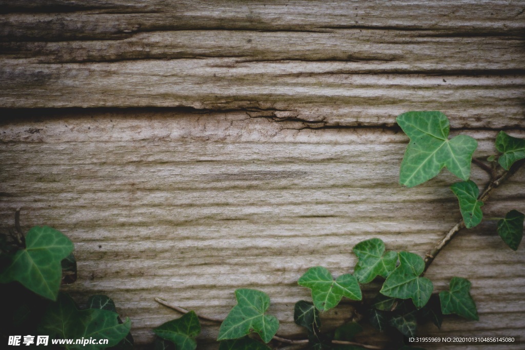 木纹背景