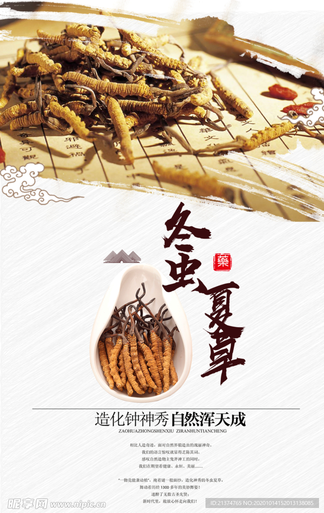 医疗冬虫夏草宣传活动海报