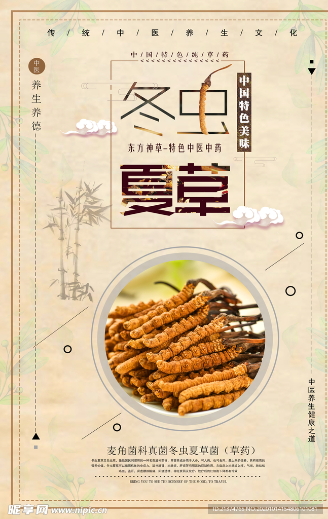 简洁时尚中国风冬虫夏草中药海报