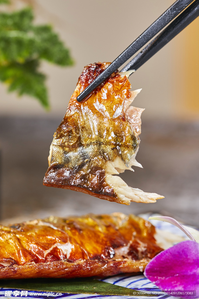 鱼肉美食食材海报素材