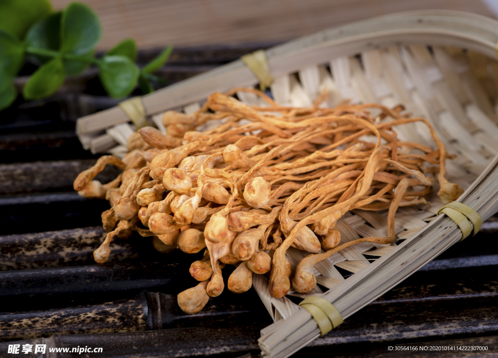 茶树菇美食食材海报素材