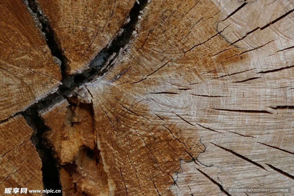木纹背景图片