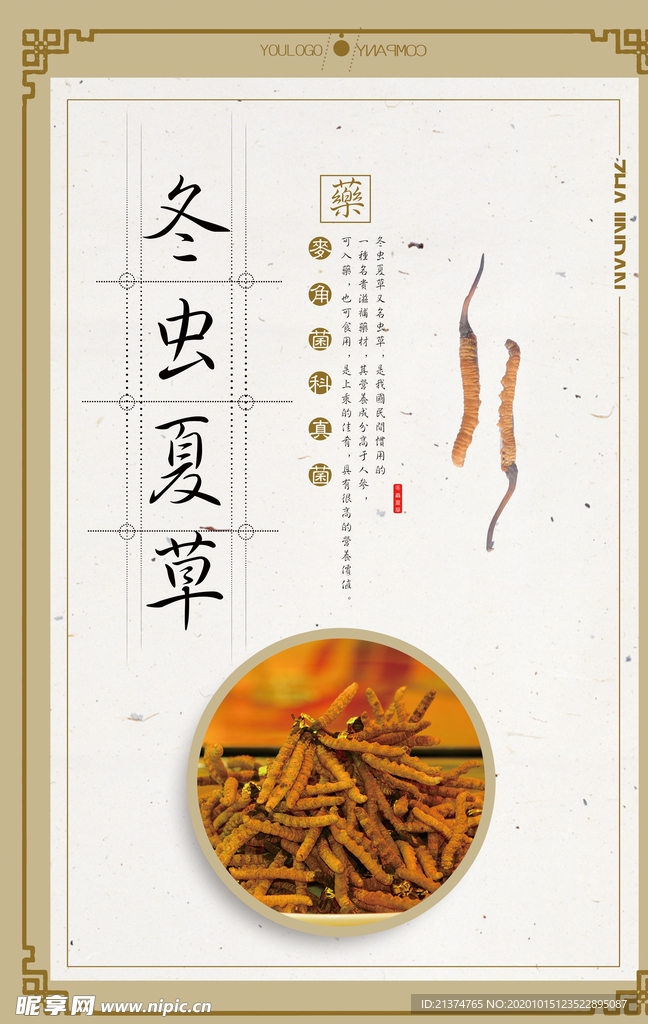 中国风中药文化冬虫夏草促销海报