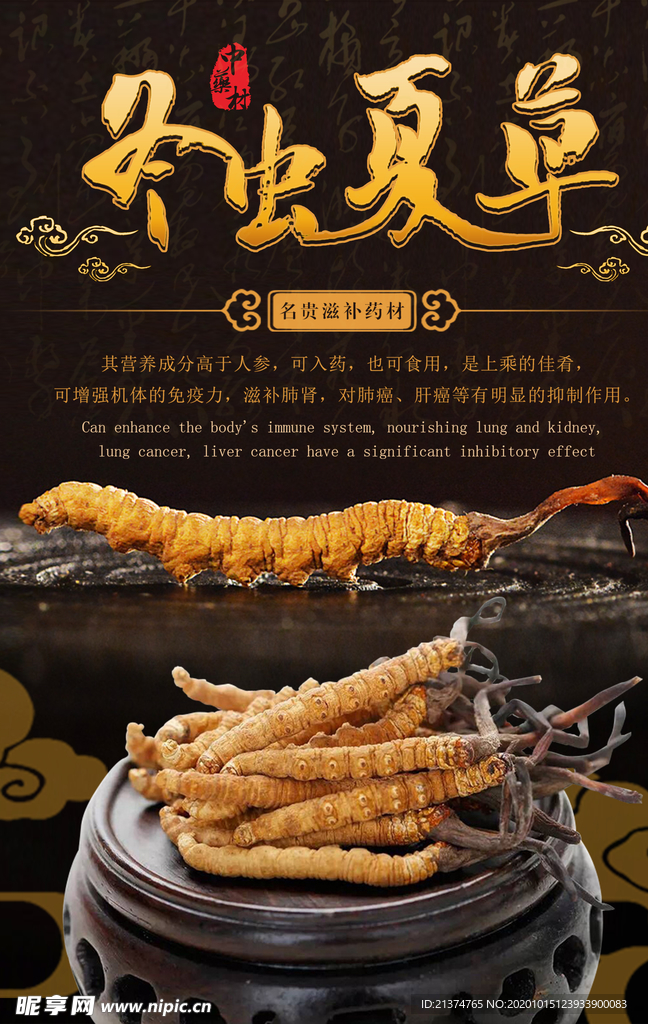 中药文化冬虫夏草海报