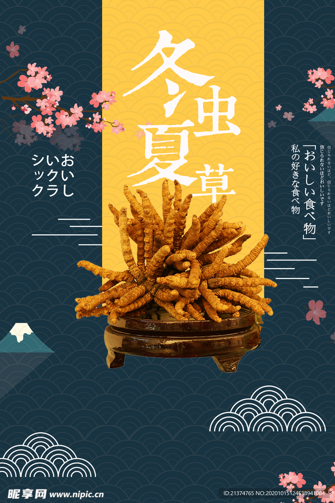 冬虫夏草养生海报