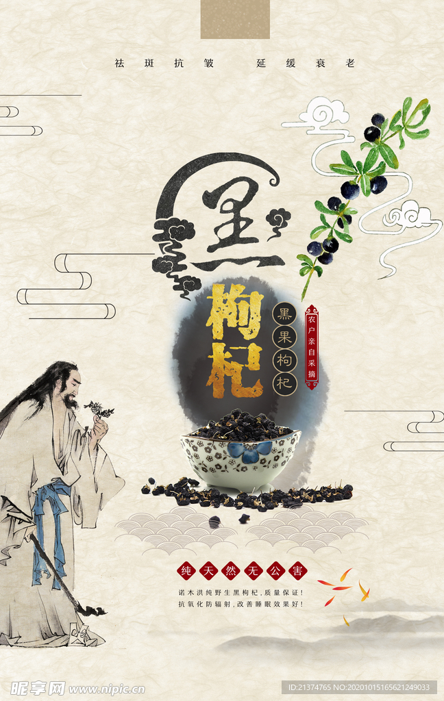 养生中国风黑枸杞创意海报
