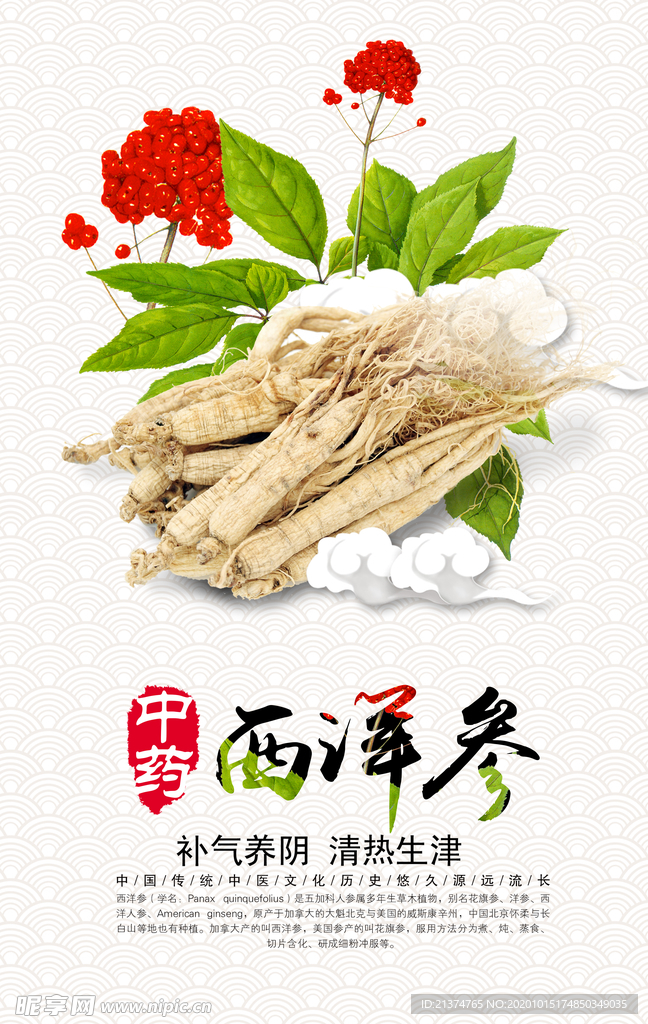 中药西洋参宣传海报