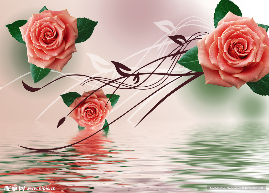玫瑰花波纹