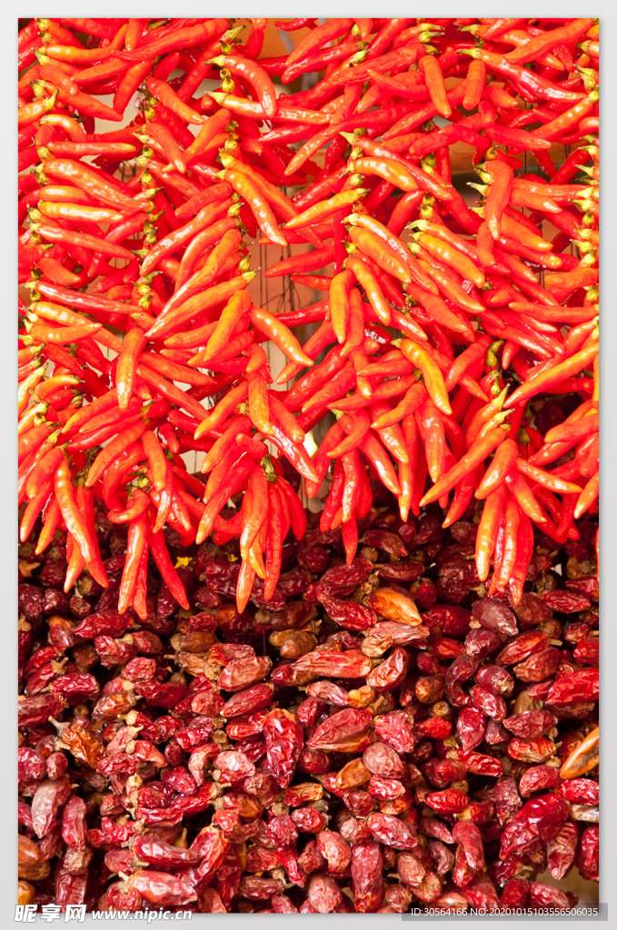 辣椒红椒配料背景海报素材