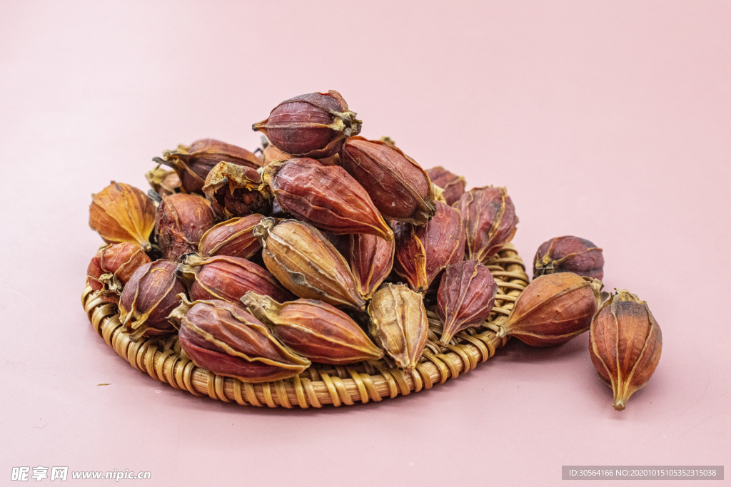 栀子花花朵配料背景海报素材