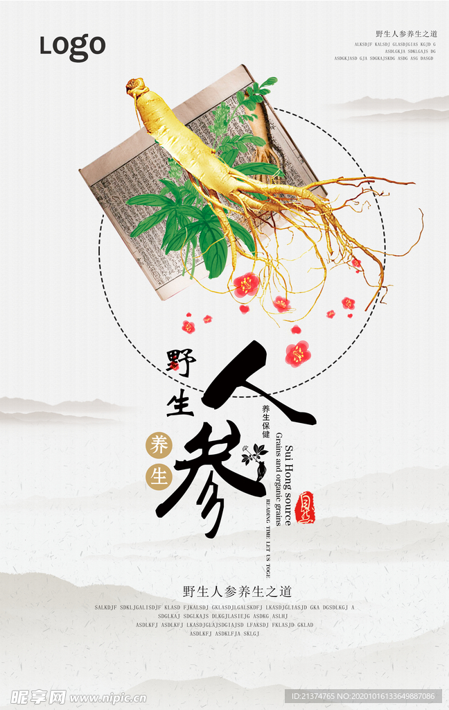 中国风小清新人参宣传海报
