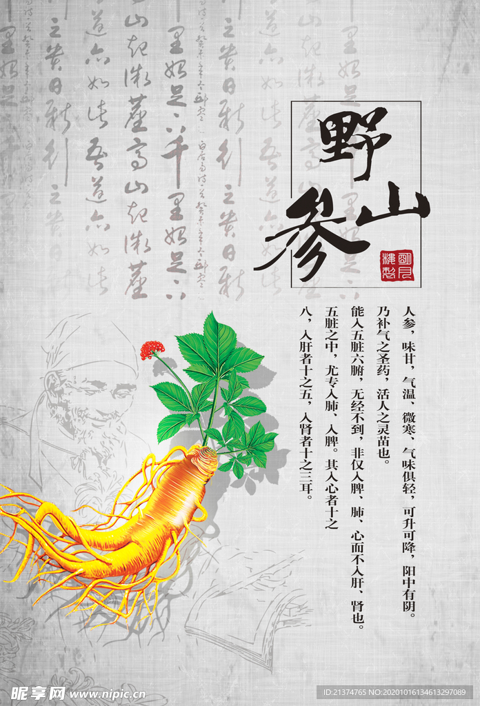野山参人参养生滋补海报