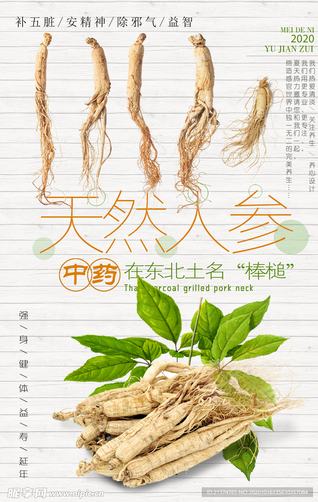 中医药材人参海报