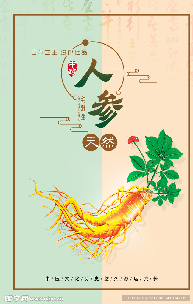 拼色中医药材野生人参宣传海报
