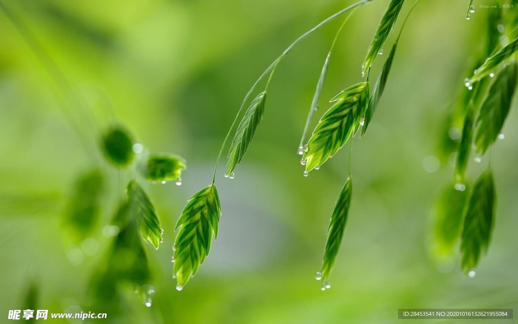 拍摄素材