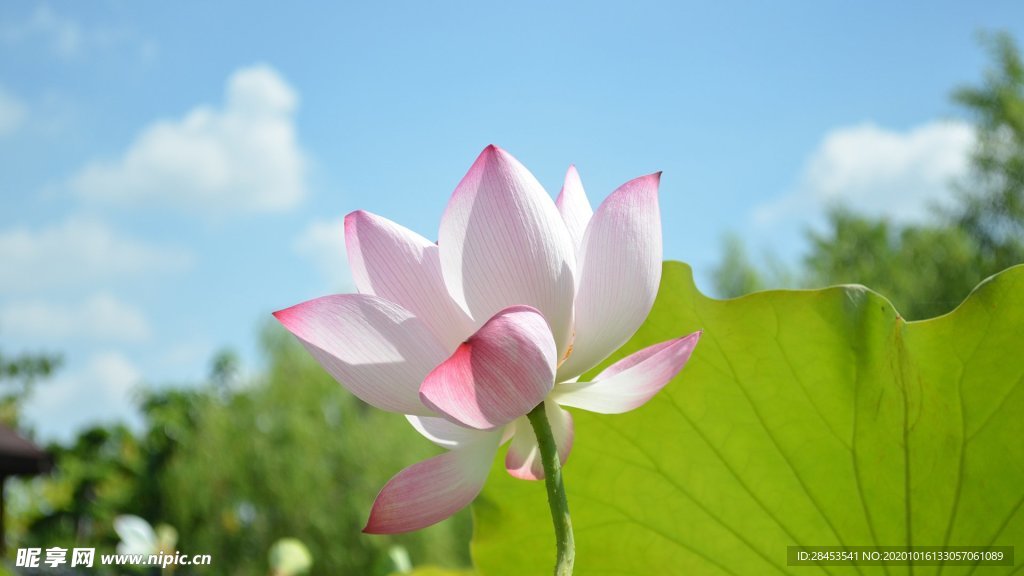 拍摄素材