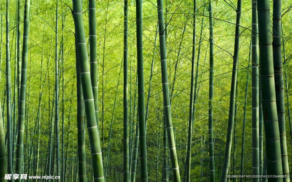拍摄素材