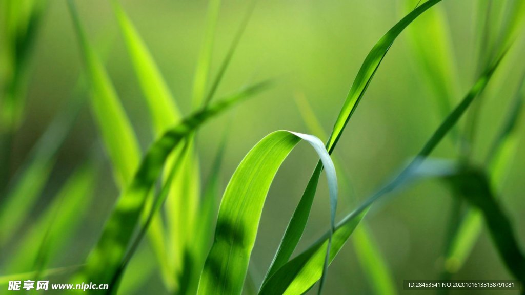 拍摄素材
